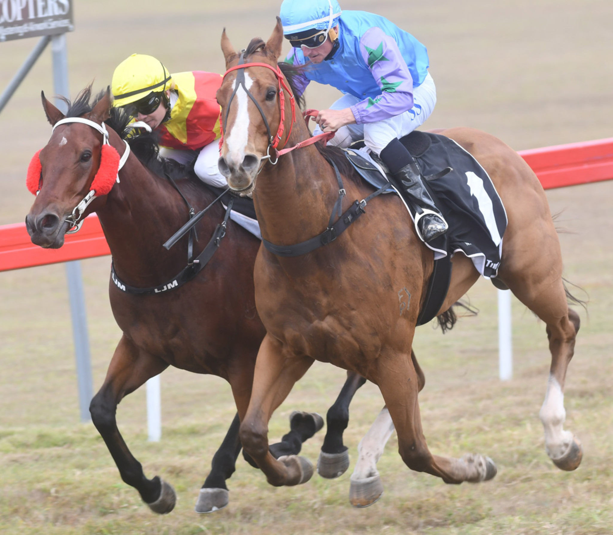 Mount Garnet Races & Rodeo weekend | The Express Newspaper Mareeba ...