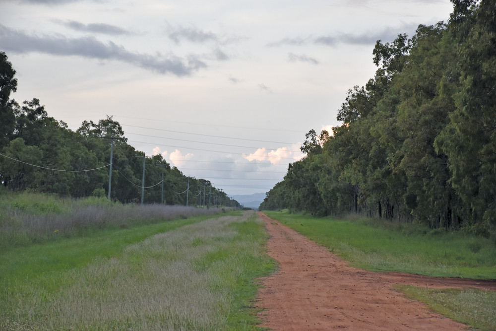 Locals Invited To See Rail Trail Greenery The Express Newspaper