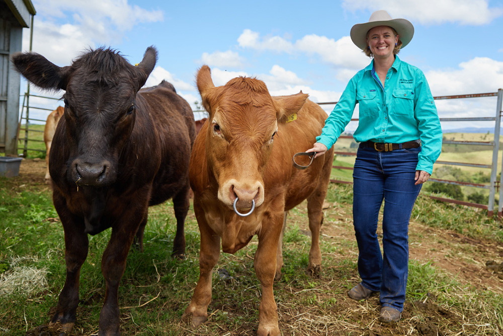 Beef event keeps getting better | The Express Newspaper Mareeba ...