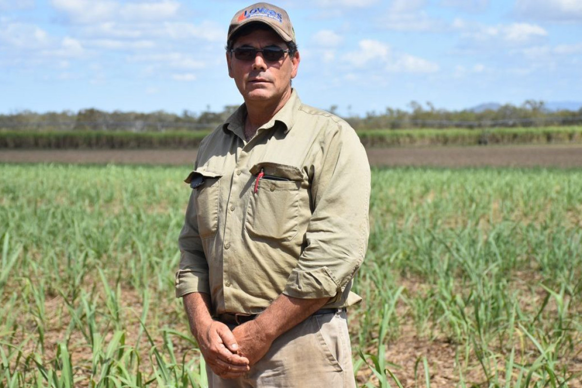 Farmers Fight Back | The Express Newspaper Mareeba, Atherton, Cooktown ...